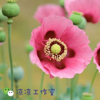 孕3月76D | 夏季空调怎么吹