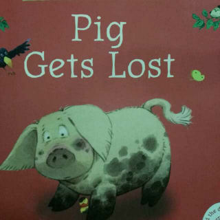 Pig Gets Lost