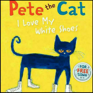 Ptet the cat l love my white shoes