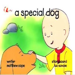13~04 a special dog