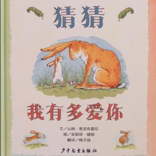 猜猜我有多爱你