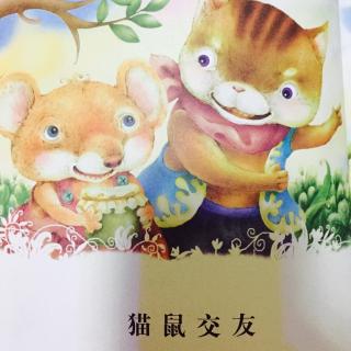 No.67《猫鼠交友》（中文）