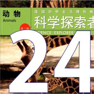 第24期【科学探索者】《动物》2.1软体动物