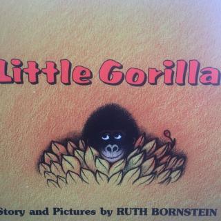 Little Gorilla