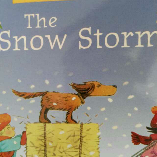 The Snow Storm