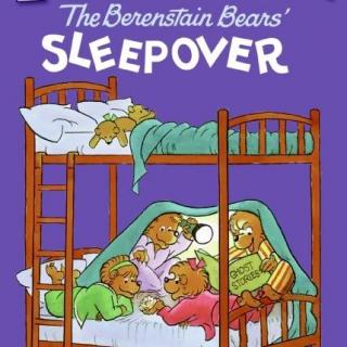 BB Sleepover贝贝熊过夜的小客人
