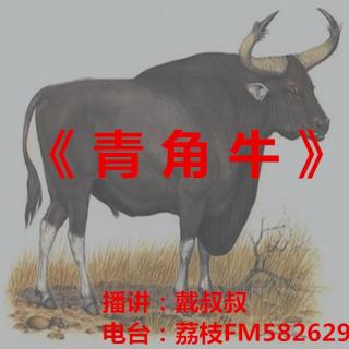 戴叔叔读故事 432 《青角牛》