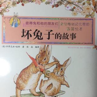 彼得兔和他的朋友们：坏兔子的故事