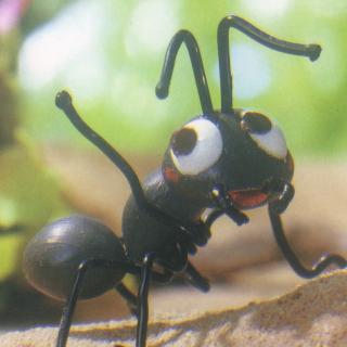 小蚂蚁力量大