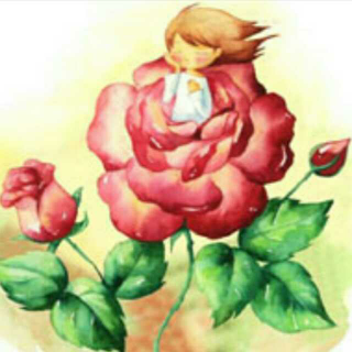 《玫瑰花精》