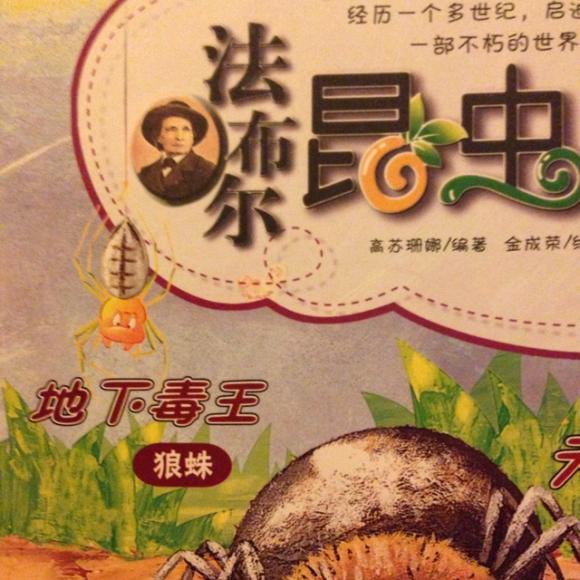 "地下毒王"狼蛛(上)——法布尔昆虫记
