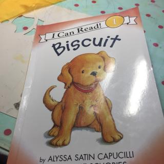 biscuit