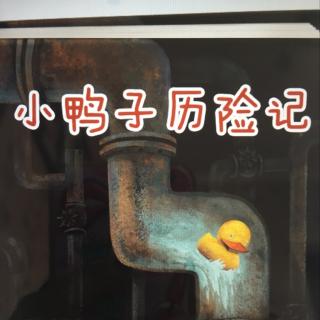 小鸭子历险记