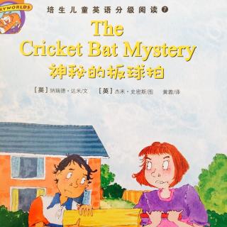 The Cricket Bat Mystery （神秘的板球拍）