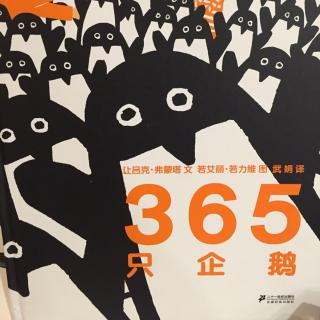 幼儿绘本故事《365只企鹅》