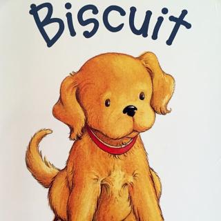 Biscuit 小饼干狗