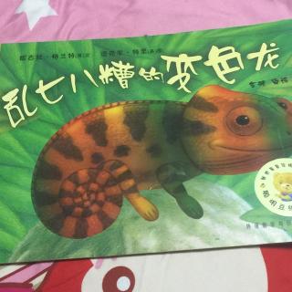 乱七八糟的变色龙