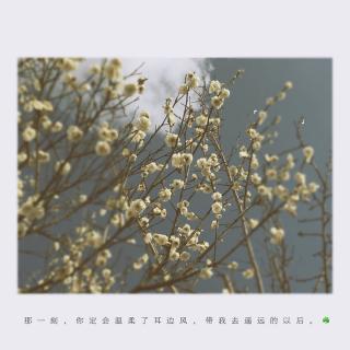 『没有人像你』＿文／咸贵人 From one