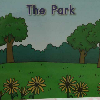 The park