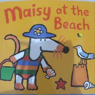 maisy at the beach