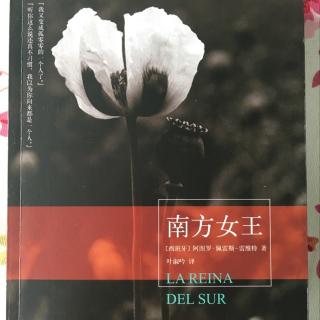 2016开年读《南方女王》第395页片段