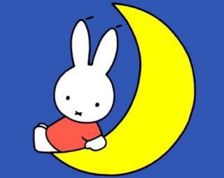 顽皮的月亮小兔