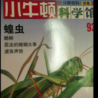 小牛顿科学馆-蝗虫