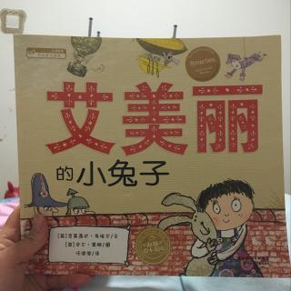 艾美丽的小兔子