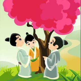 69、【民间故事】三兄弟和紫荆树