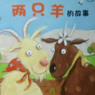 绘本教育《两只羊的故事》-一个关于邻里之间多一份友爱的故事