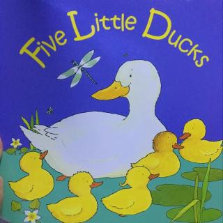 吉吉唱童谣D35 child's play经典 Five Little Ducks