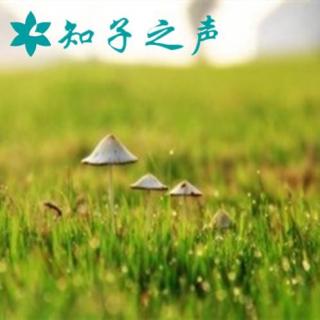 知子之声 || 《变形计》变的是什么？