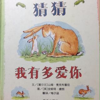 猜猜我有多爱你