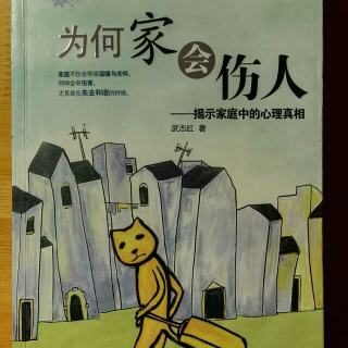 《为何家会伤人》38  2006年的6个爱的谎言