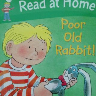 poor old rabbit