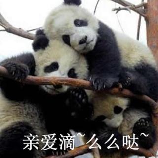 涨姿势35：我只跟我爱的熊猫啪啪