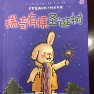 瑞奇有棵圣诞树