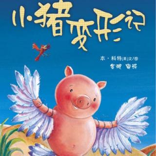 绘本阅读《小猪🐷变形计》