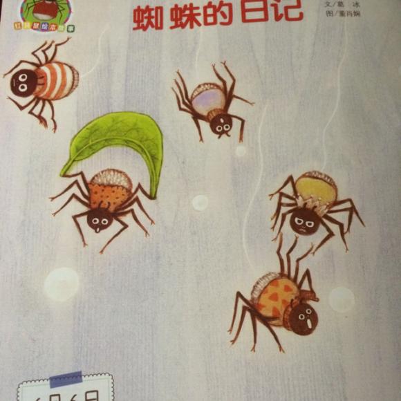 蜘蛛备忘录小学三年级图片