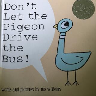 Don't let the pigeon drive the bus!