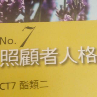 CT7照顾者人格分述