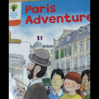 Paris adventure