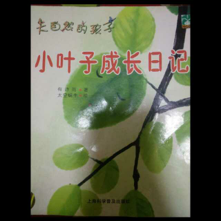 如诗如歌《小叶子成长日记》