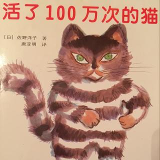 故事103  活了100万次的猫🐈