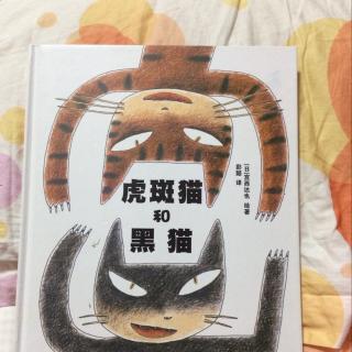 虎斑猫和黑猫