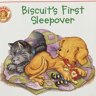 Biscuit's First Sleepover