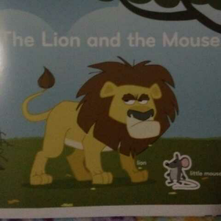 安妮讲故事 狮子和老鼠