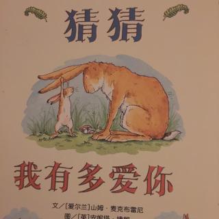 猜猜我有多爱你——山姆.麦克布雷尼