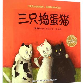 三只捣蛋猫-不是因为完美而爱你，而是因为爱你而完美