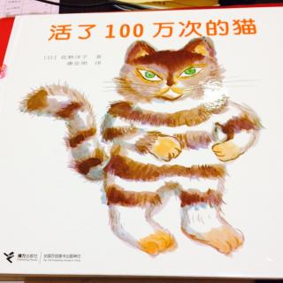 绘本故事《活了100万次的猫